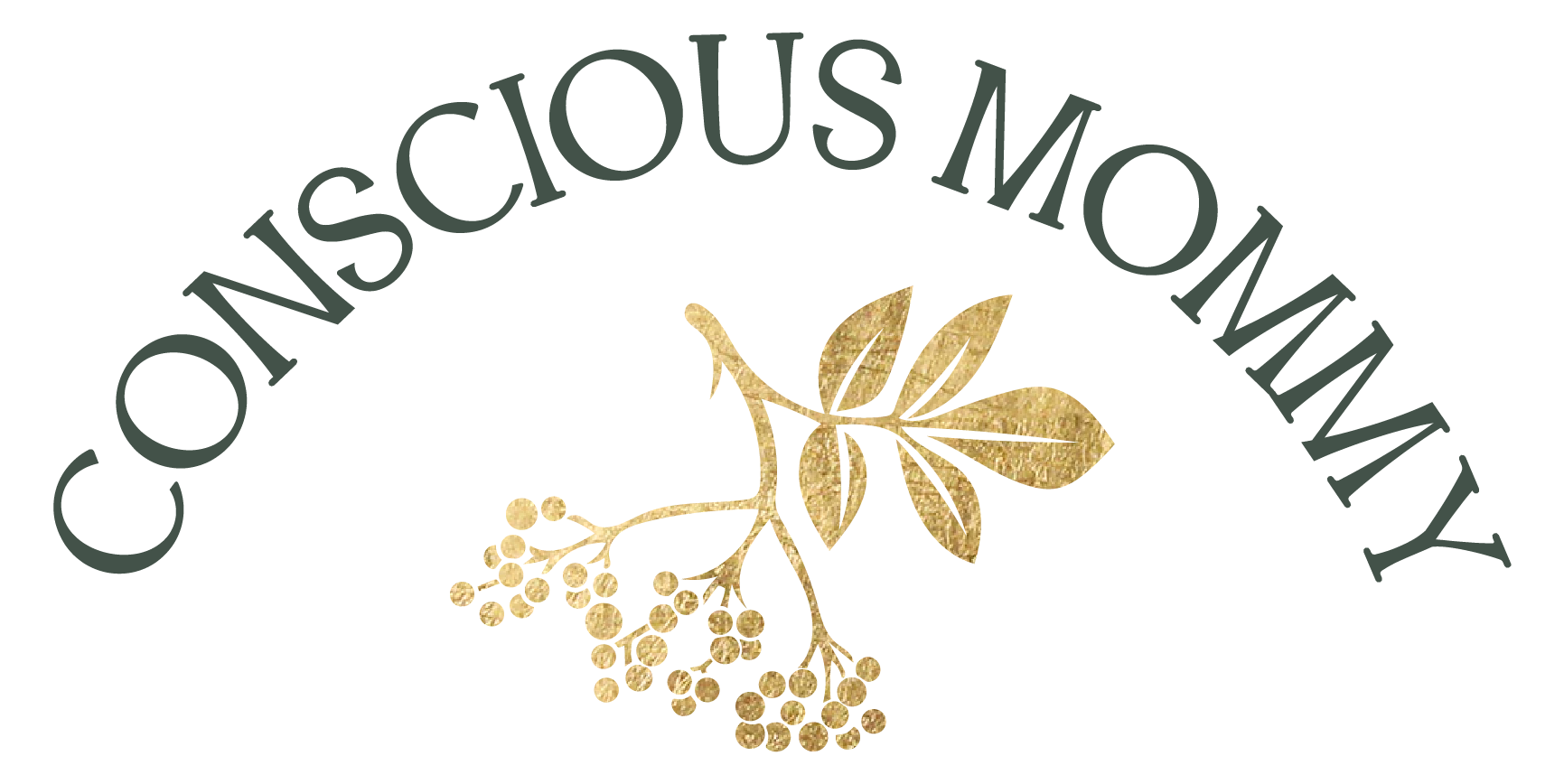 Conscious Mommy